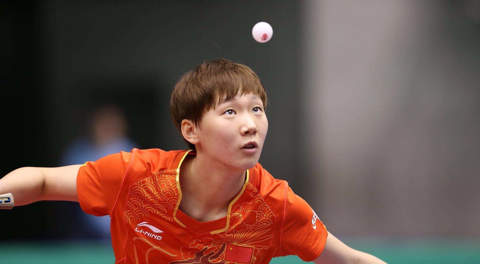 仅是一场网 仅是一场网