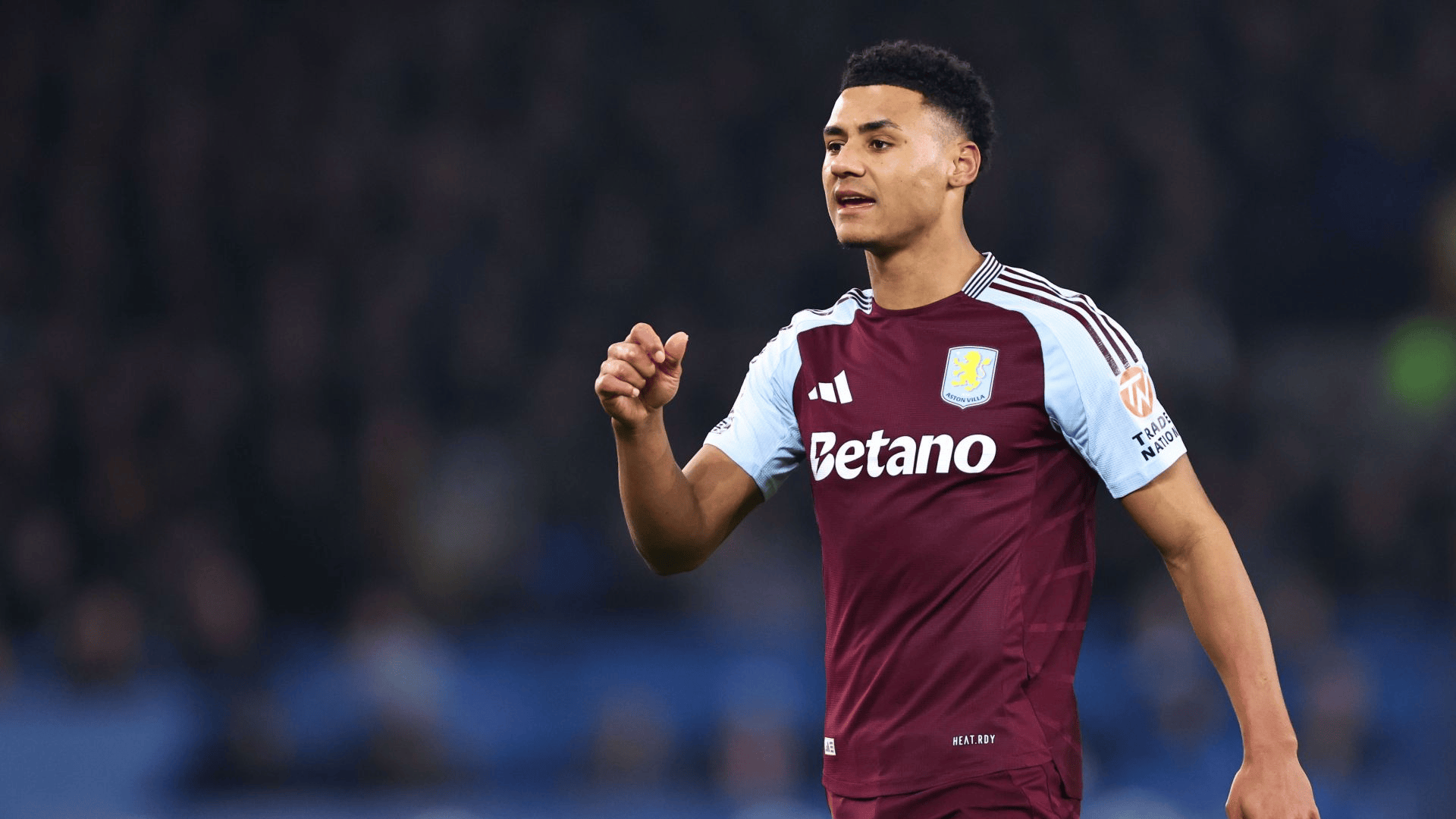 体系容纳不 体系容纳不